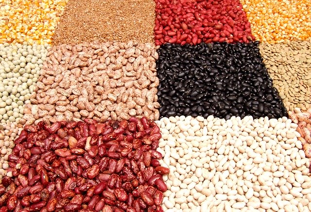 Legumes are an excellent plant based source of protein.