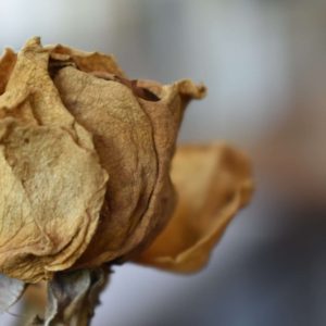 Proper Care for a Dry 50-Year-Old Vagina